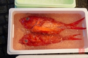 Japan 2012 - Tsukiji - Fish Market - Red Fish I
