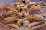 Japan 2012 - Tsukiji - Fish Market - Crabs