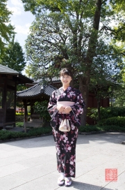 Japan 2012 - Asakusa - Kannon - Guest in Kimono