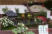 Japan 2012 - Shibuya - Meiji Shrine - Bonsai Garden I
