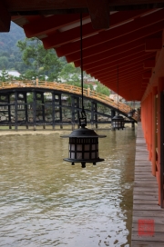 Japan 2012 - Miyajima - Itsukushima Shrine - Lantern