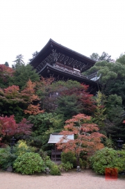 Japan 2012 - Miyajima - Daisho-in - Pagoda