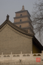 Xian 2013 - Giant Wild Goose Pagoda - Side building & Pagoda