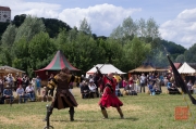 MPS Mosbach 2012 - Fictum