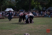 MPS Speyer 2012 - Bruchenball