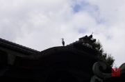 Japan 2012 - Kyoto - Crane