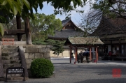 Japan 2012 - Kyoto - To-ji Temple