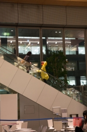 Japan 2012 - Tokyo - Shopping Mall - Chicken