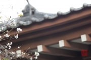 Japan 2012 - Kamakura - Hase-dera - Flowers & Roof