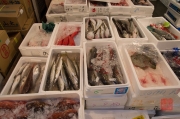 Japan 2012 - Tsukiji - Fish Market - Fishes I
