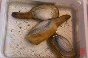 Japan 2012 - Tsukiji - Fish Market - Geoduck clam