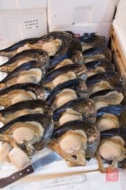 Japan 2012 - Tsukiji - Fish Market - Clams II