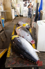 Japan 2012 - Tsukiji - Fish Market - Tuna I