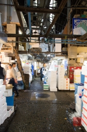 Japan 2012 - Tsukiji - Fish Market - Path