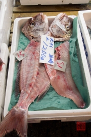Japan 2012 - Tsukiji - Fish Market - Fishbone & Head