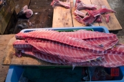 Japan 2012 - Tsukiji - Fish Market - Tuna bones