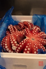 Japan 2012 - Tsukiji - Fish Market - Octopus