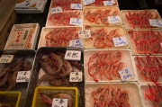 Japan 2012 - Tsukiji - Fish Market - Shrimps