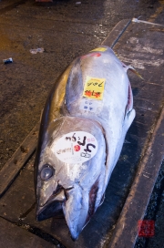 Japan 2012 - Tsukiji - Fish Market - Tuna II
