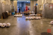 Japan 2012 - Tsukiji - Fish Market - Tuna Auction Hall I