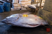 Japan 2012 - Tsukiji - Fish Market - Tuna III
