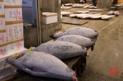 Japan 2012 - Tsukiji - Fish Market - Tuna Auction Hall II