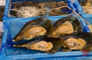 Japan 2012 - Tsukiji - Fish Market - Clams III