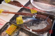 Japan 2012 - Tsukiji - Fish Market - Beak fish