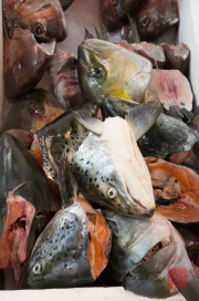 Japan 2012 - Tsukiji - Fish Market - Salmon Heads