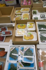 Japan 2012 - Tsukiji - Fish Market - Leaves II