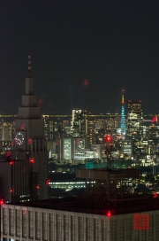 Japan 2012 - Shinjuku - Night Shoot III