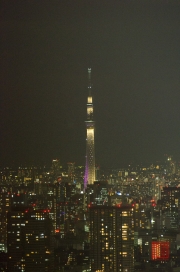 Japan 2012 - Shinjuku - TV Tower