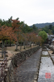 Japan 2012 - Miyajima - Creek