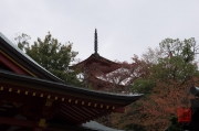 Japan 2012 - Miyajima - Roofs