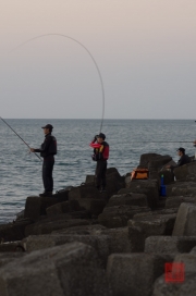 Taiwan 2012 - Taipei - Baishawan - Angler