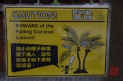 Taiwan 2012 - Taipei - Konfuziustempel - Kokosnusswarnung