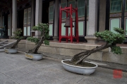 Taiwan 2012 - Taipei - Konfuziustempel - Bonsai