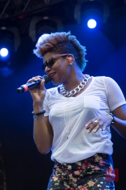 Das Fest 2013 - Gentleman - Mamadee I