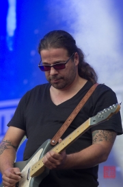 Das Fest 2013 - Soehne Mannheims - Andreas Bayless