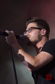 Das Fest 2013 - Soehne Mannheims - Dominic Sanz II
