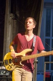 Bardentreffen 2013 - The Elephant Circus - Matthias Flach I