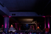 Bruckenfestival 2013 -