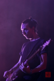NBG.POP 2013 - Reptile Youth - Esben Valloe I