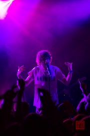 NBG.POP 2013 - Reptile Youth - Mads II