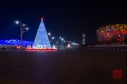 Beijing 2013 - Olympic Park