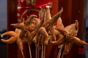 Beijing 2013 - Sea stars