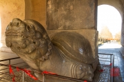 Ming tombs - Turtle