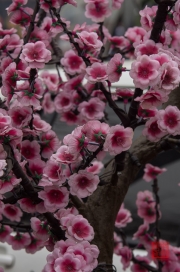 Pingyao 2013 - Fake flowers