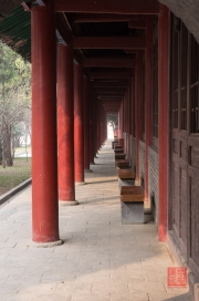 Xian 2013 - Stele Forest - Corridor