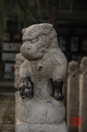 Xian 2013 - Stele Forest - Lion Stele